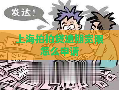 上海逾期宽限怎么申请