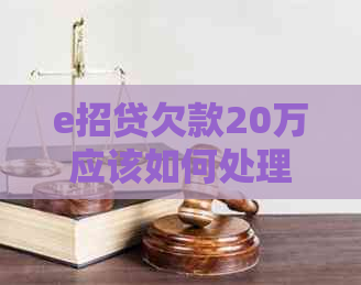 e招贷欠款20万应该如何处理