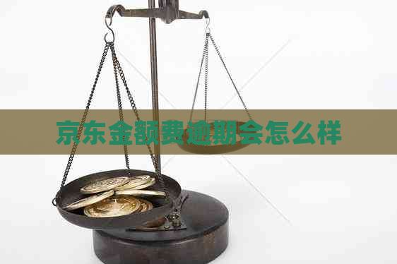 京东金额费逾期会怎么样