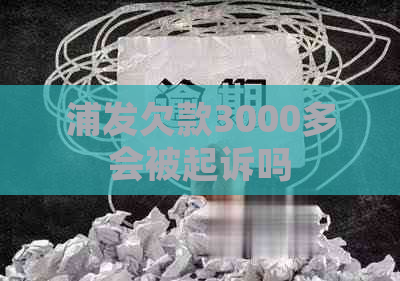 浦发欠款3000多会被起诉吗