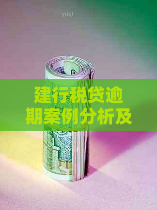 建行税贷逾期案例分析及应对策略