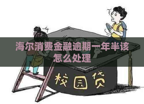 海尔消费金融逾期一年半该怎么处理