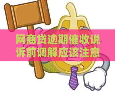 网商贷逾期说诉前调解应该注意什么-网商贷逾期说诉前调解应该注意什么问题