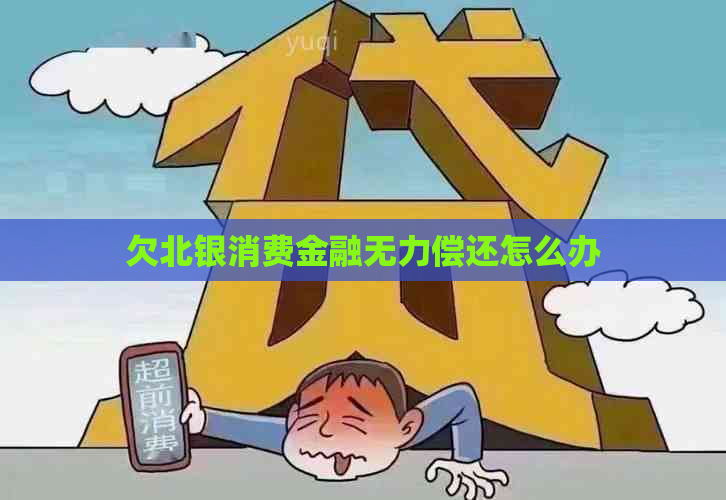 欠北银消费金融无力偿还怎么办