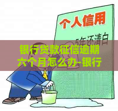 银行贷款逾期六个月怎么办-银行贷款逾期六个月怎么办理