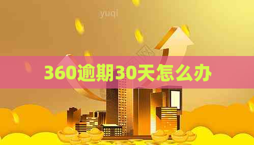 360逾期30天怎么办