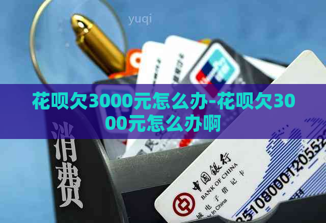 花呗欠3000元怎么办-花呗欠3000元怎么办啊