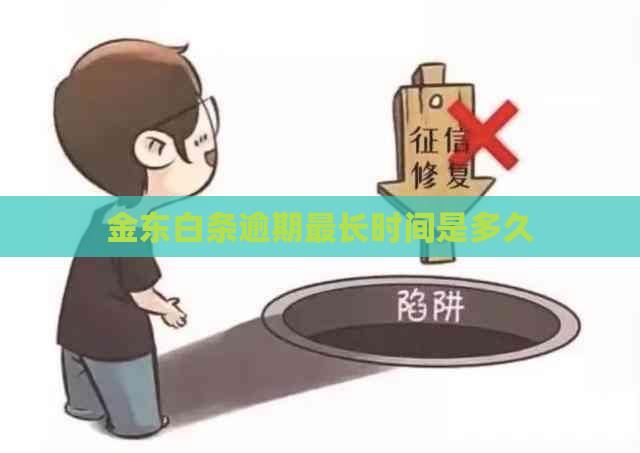 金东白条逾期最长时间是多久