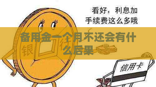 备用金一个月不还会有什么后果