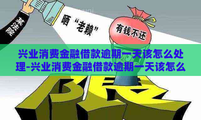 兴业消费金融借款逾期一天该怎么处理-兴业消费金融借款逾期一天该怎么处理呢