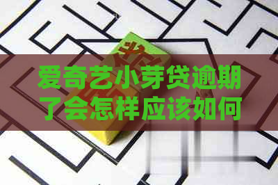 爱奇艺小芽贷逾期了会怎样应该如何处理