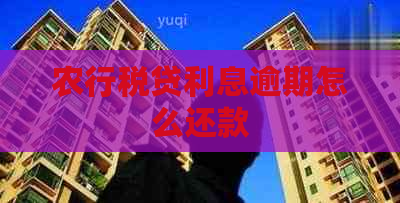 农行税贷利息逾期怎么还款