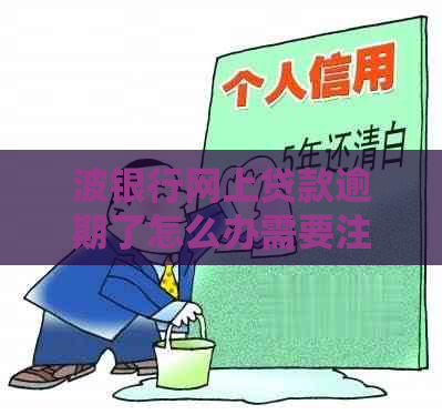 波银行网上贷款逾期了怎么办需要注意什么