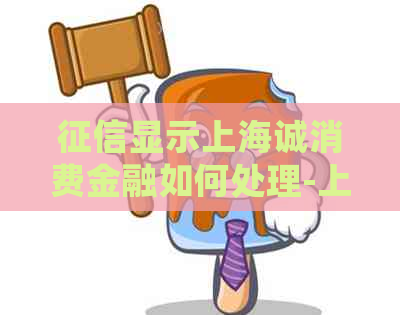 显示上海诚消费金融如何处理-上海上诚消费金融公司