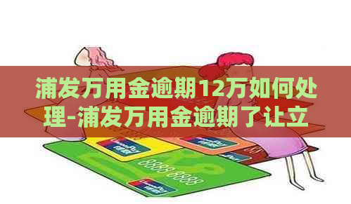 浦发万用金逾期12万如何处理-浦发万用金逾期了让立即还款没有钱怎么办