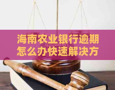 海南农业银行逾期怎么办快速解决方法-海南农业银行逾期怎么办快速解决方法