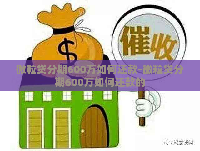 微粒贷分期600万如何还款-微粒贷分期600万如何还款的