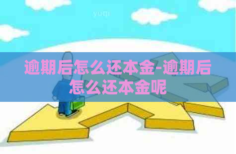 逾期后怎么还本金-逾期后怎么还本金呢