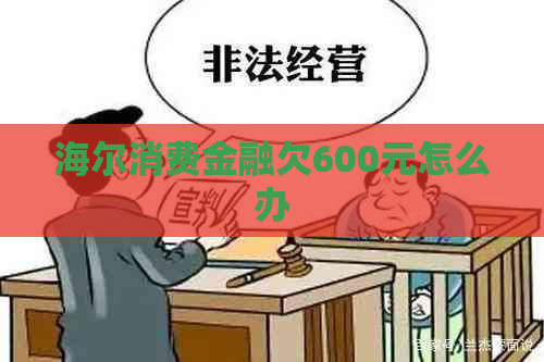 海尔消费金融欠600元怎么办