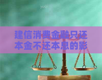 建信消费金融只还本金不还本息的影响是什么