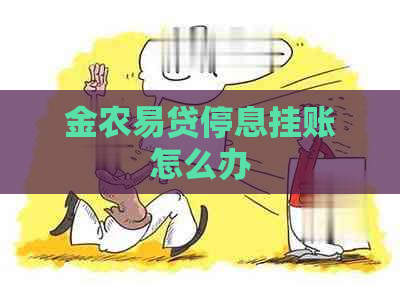 金农易贷停息挂账怎么办