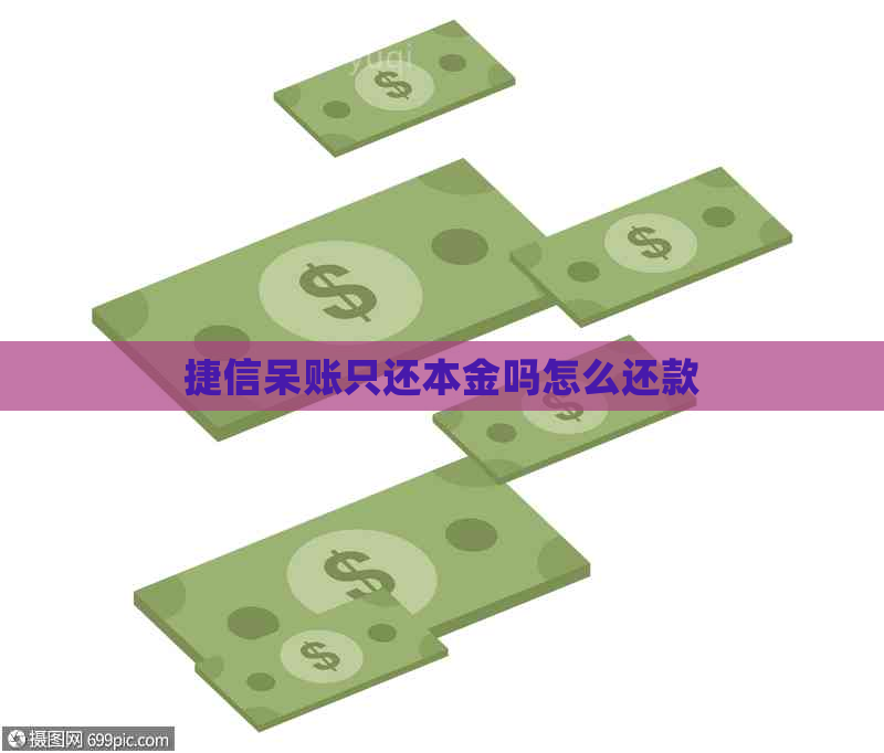 捷信呆账只还本金吗怎么还款