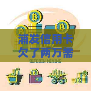 浦发信用卡欠了两万需要怎么处理