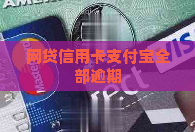 网贷信用卡支付宝全部逾期