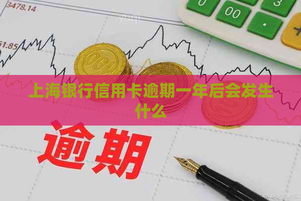 上海银行信用卡逾期一年后会发生什么