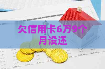 欠信用卡6万9个月没还