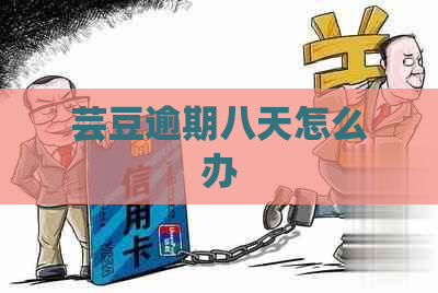 芸豆逾期八天怎么办