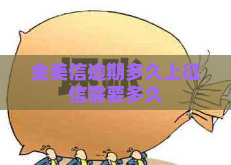 金美信逾期多久上需要多久