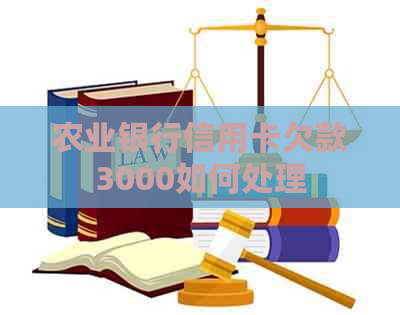 农业银行信用卡欠款3000如何处理