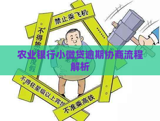 农业银行小微贷逾期协商流程解析