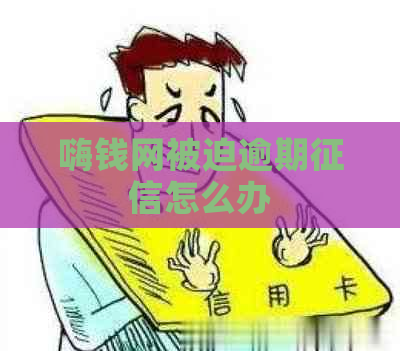 嗨钱网被迫逾期怎么办