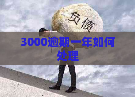 3000逾期一年如何处理