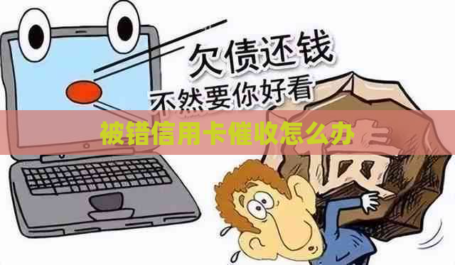 被错信用卡怎么办