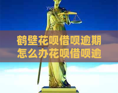 鹤壁花呗借呗逾期怎么办花呗借呗逾期怎么解决