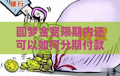 圆梦金宽限期内还可以如何分期付款吗