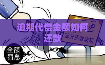 逾期代偿金额如何还款