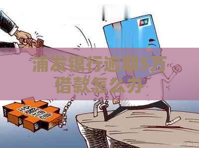 浦发银行逾期5万借款怎么办