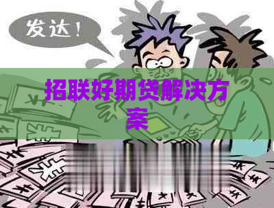 招联好期贷解决方案