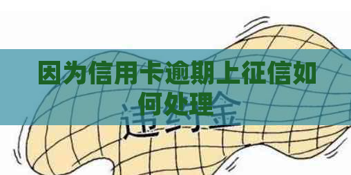 因为信用卡逾期上如何处理