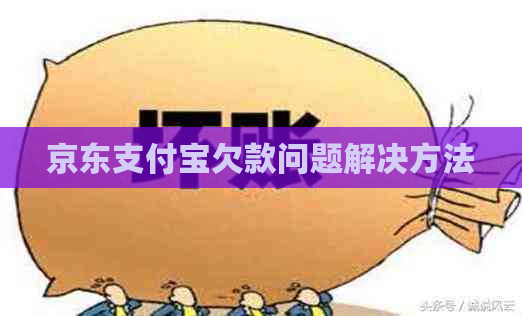 京东支付宝欠款问题解决方法