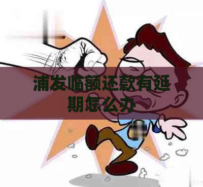 浦发临额还款有延期怎么办