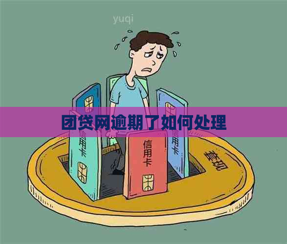 团贷网逾期了如何处理