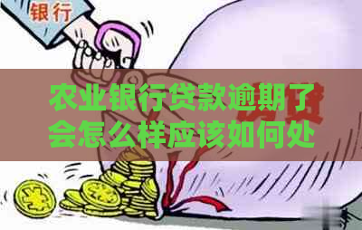 农业银行贷款逾期了会怎么样应该如何处理