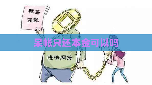 呆帐只还本金可以吗