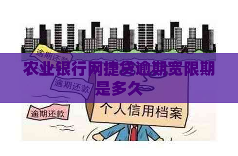 农业银行网捷贷逾期宽限期是多久