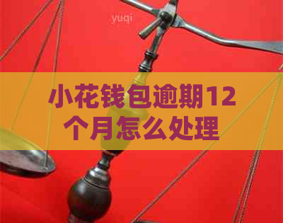 小花钱包逾期12个月怎么处理